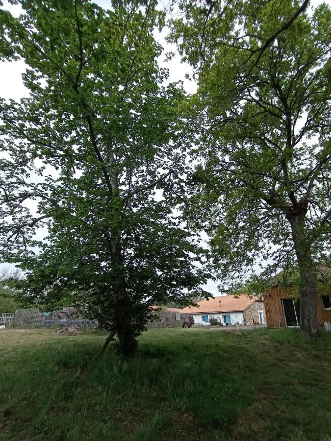 Les Chambres Du Pont Des Chevres Commensacq Eksteriør billede